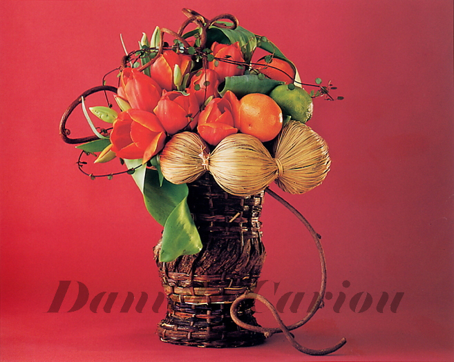 Photo d'art floral,composition P69